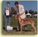 Bantu winning from the puppy class