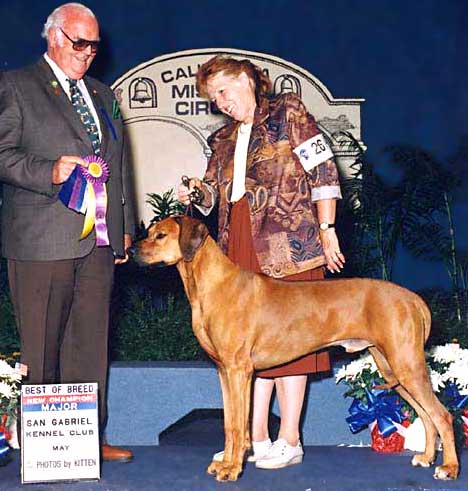 Rhodesian Ridgeback Ch Tropaco Rocket's Red Glare (lg)